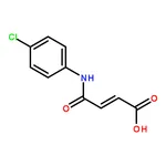 RHAWN (Z)-4-((4-Chlorophenyl)amino)-4-oxobut-2-enoic acid