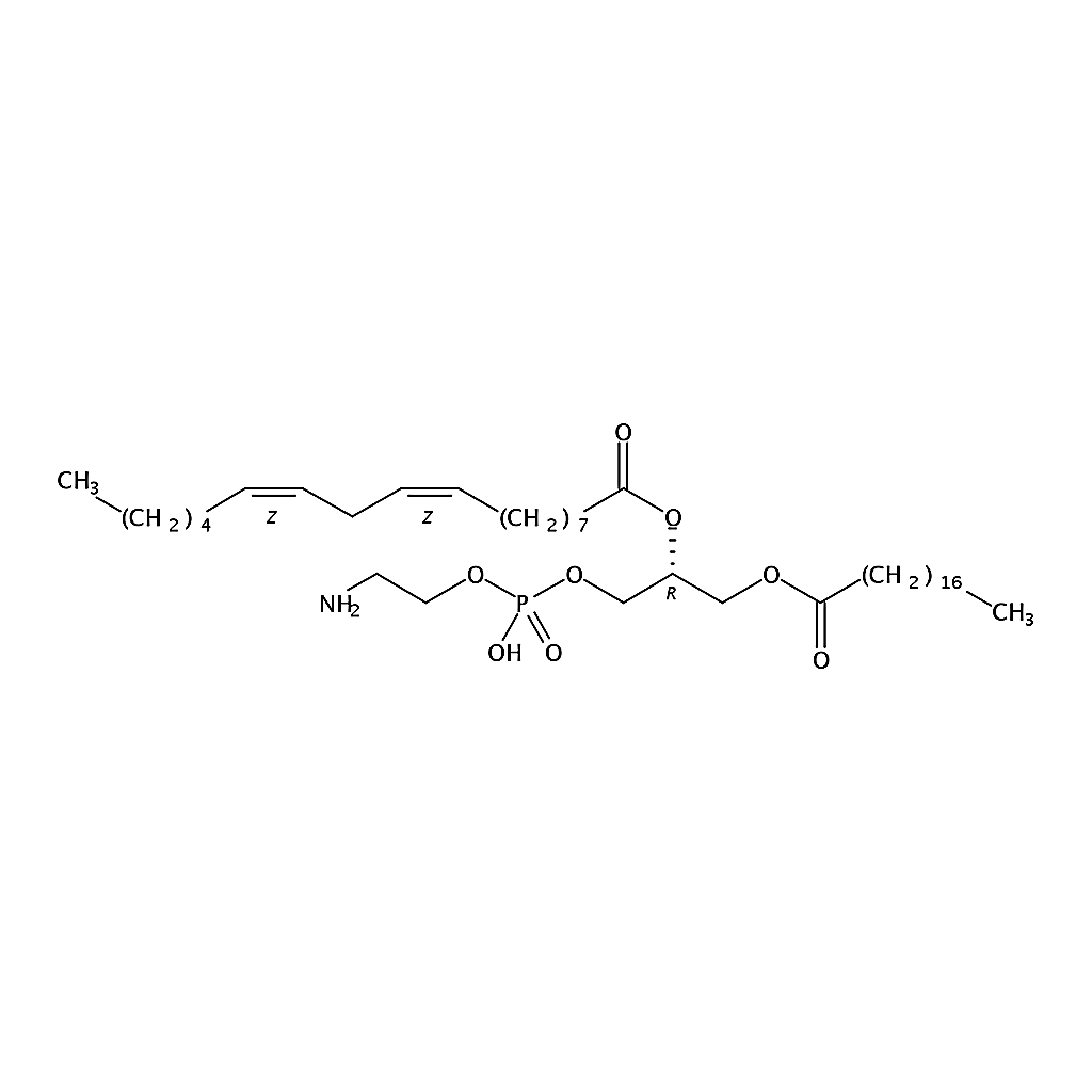 RHAWN 1-stearoyl-2-linoleoyl-sn-glycero-3-phosphoethanolamine