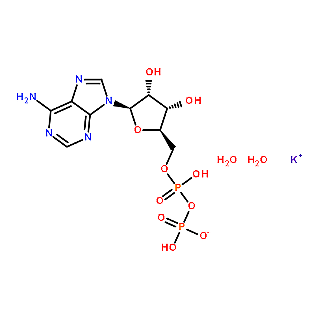 RHAWN Adenosine 5▽-diphosphate monopotassium salt dihydrate