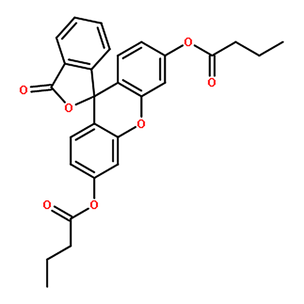 RHAWN Fluorescein dibutyrate