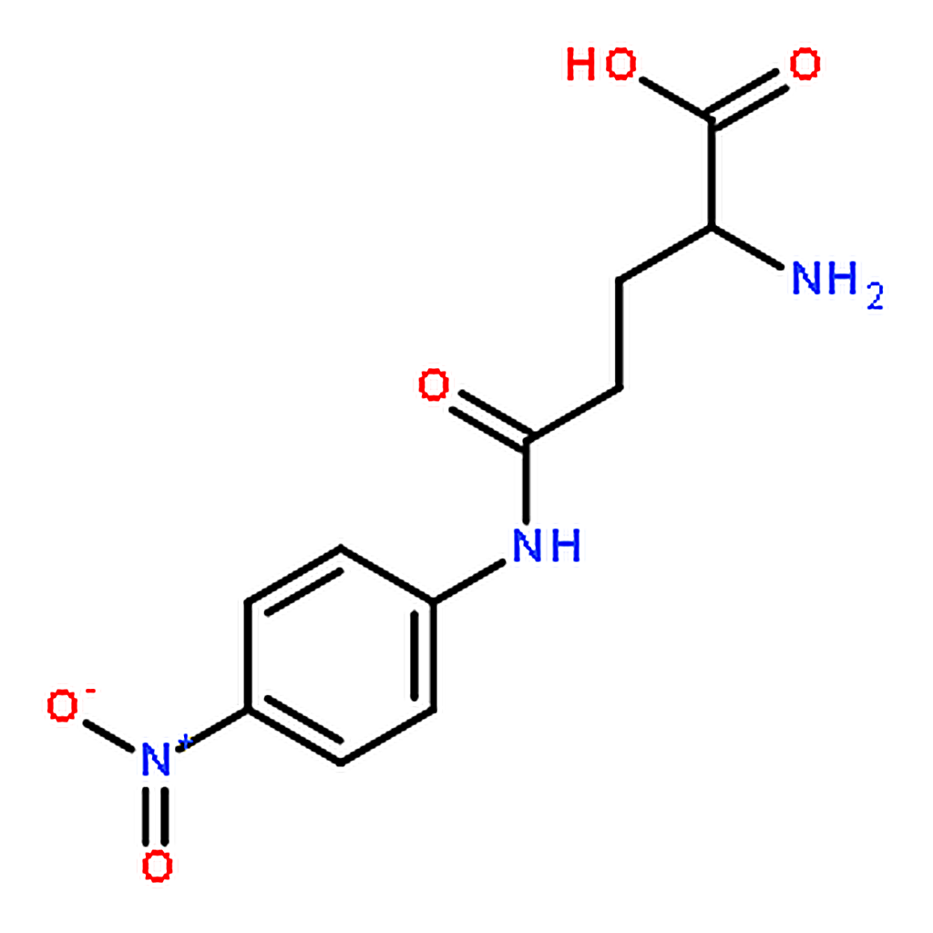 RHAWN N┺-(4-Nitrophenyl)-L-glutamine Monohydrate