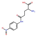 RHAWN N┺-(4-Nitrophenyl)-L-glutamine Monohydrate