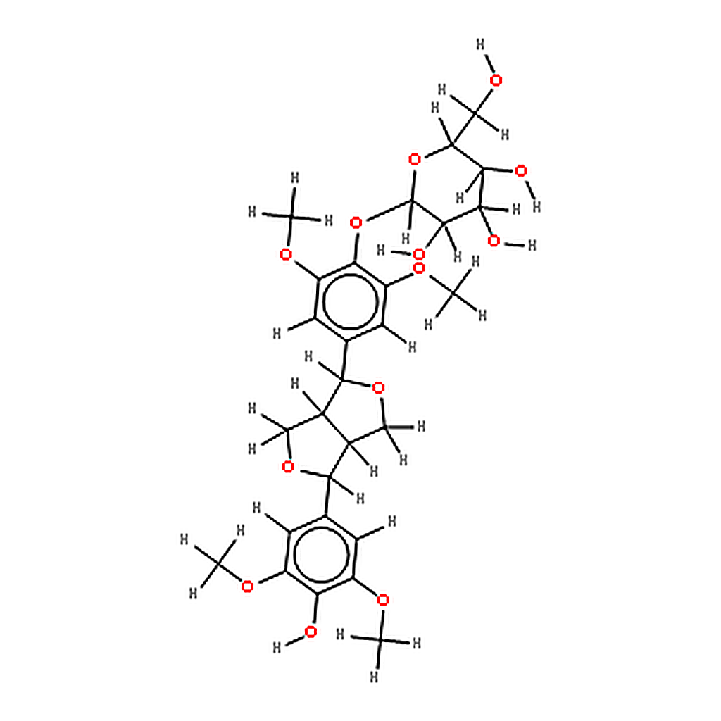 RHAWN Acanthopanax senticosus essence liquid