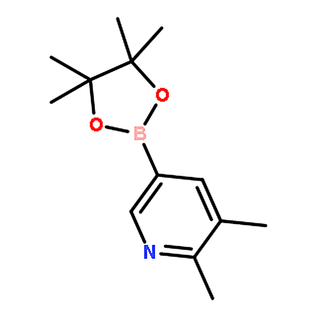 RHAWN 2,3-Dimethyl-5-(4,4,5,5-tetramethyl-1,3,2-dioxaborolan-2-yl)pyridine