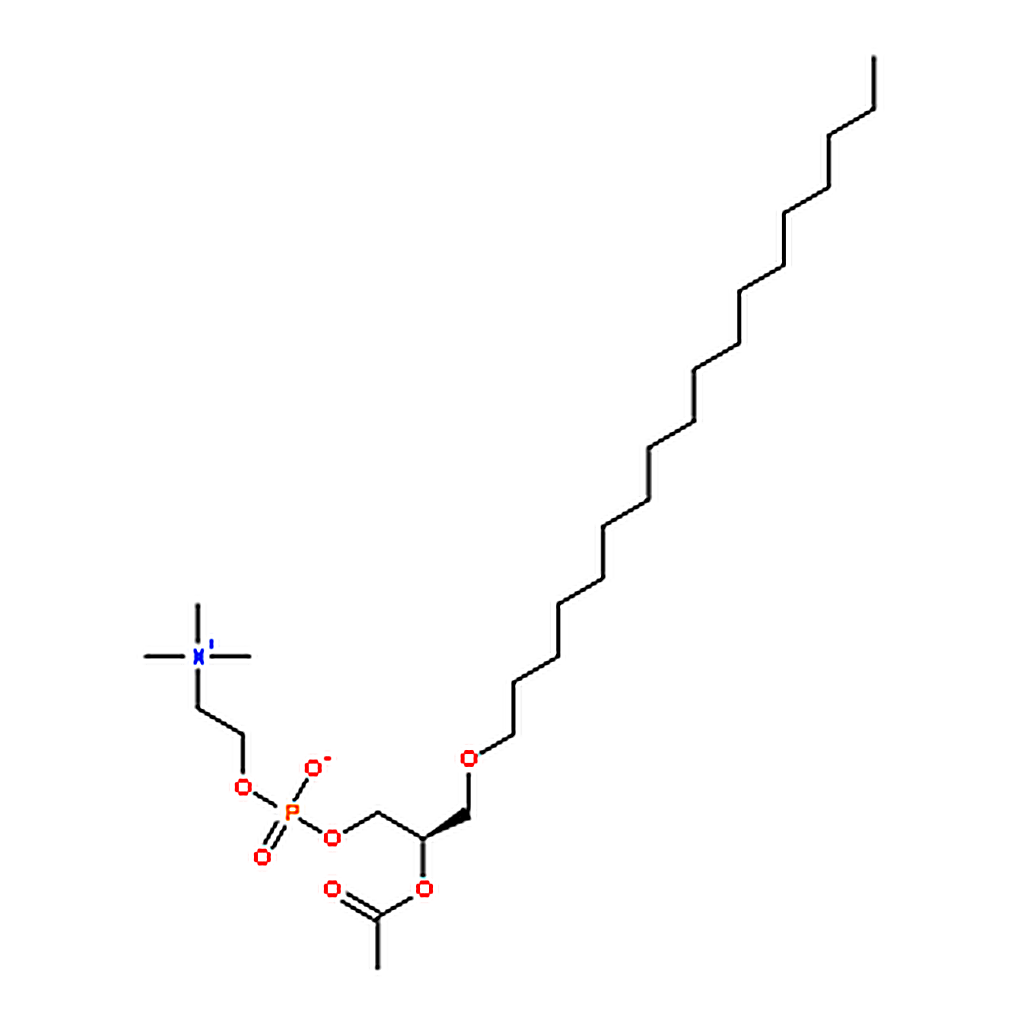 RHAWN 1-O-octadecyl-2-acetyl-sn-glycero-3-phosphocholine