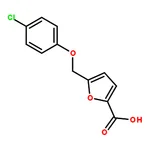 RHAWN 5-((4-Chlorophenoxy)methyl)furan-2-carboxylic acid