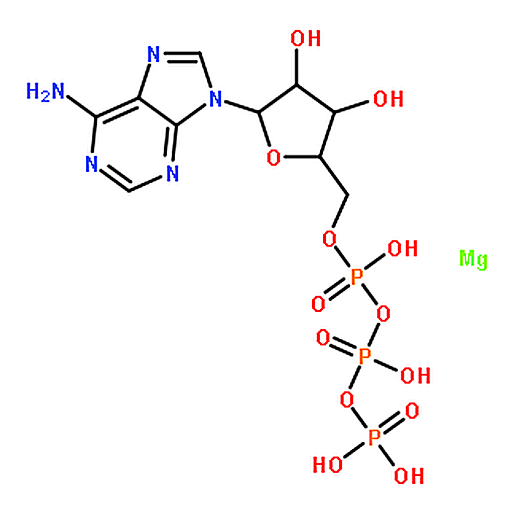 RHAWN Adenosine 5'-triphosphate Magnesium Salt