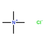 RHAWN Tetramethylammonium chloride