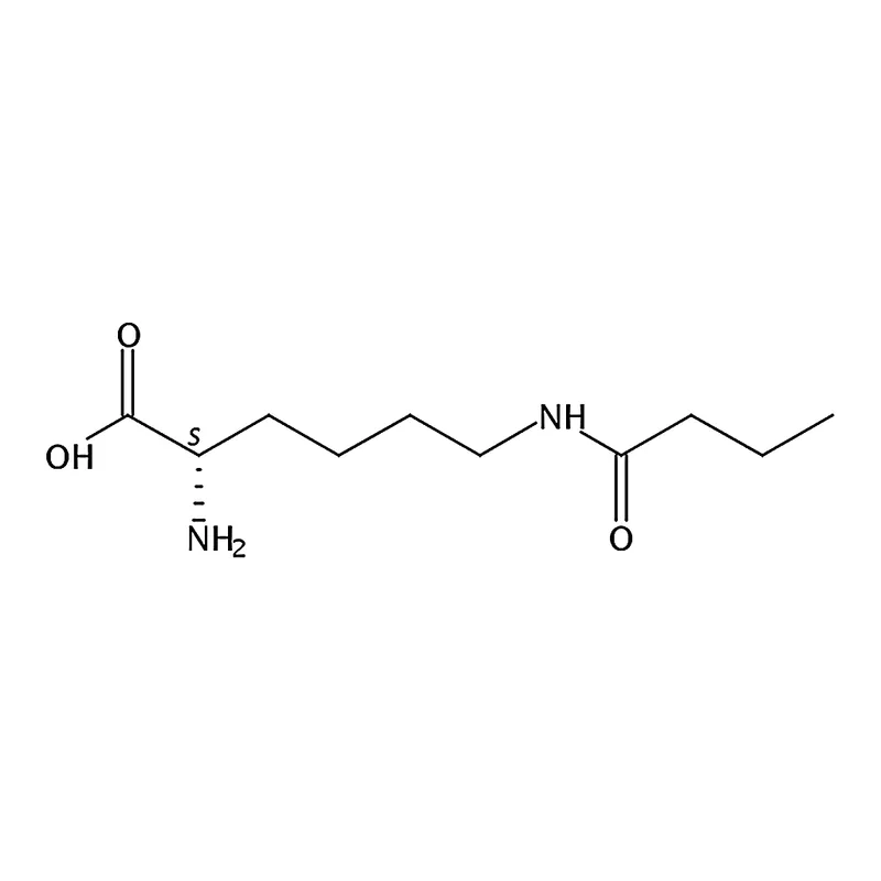 RHAWN N6-Butyryl-L-lysine