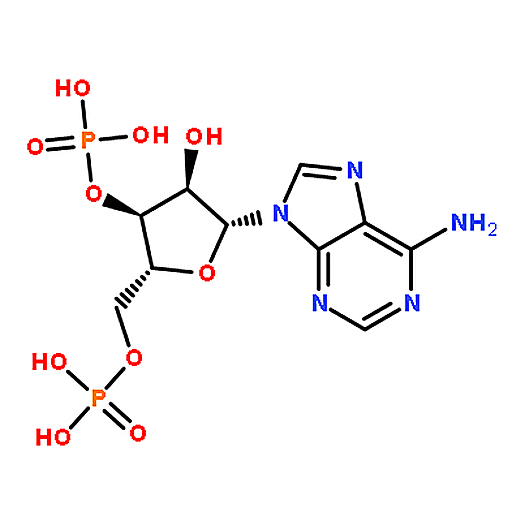 RHAWN Adenosine 3▽，5▽-diphosphate disodium salt