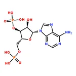 RHAWN Adenosine 3▽,5▽-diphosphate disodium salt