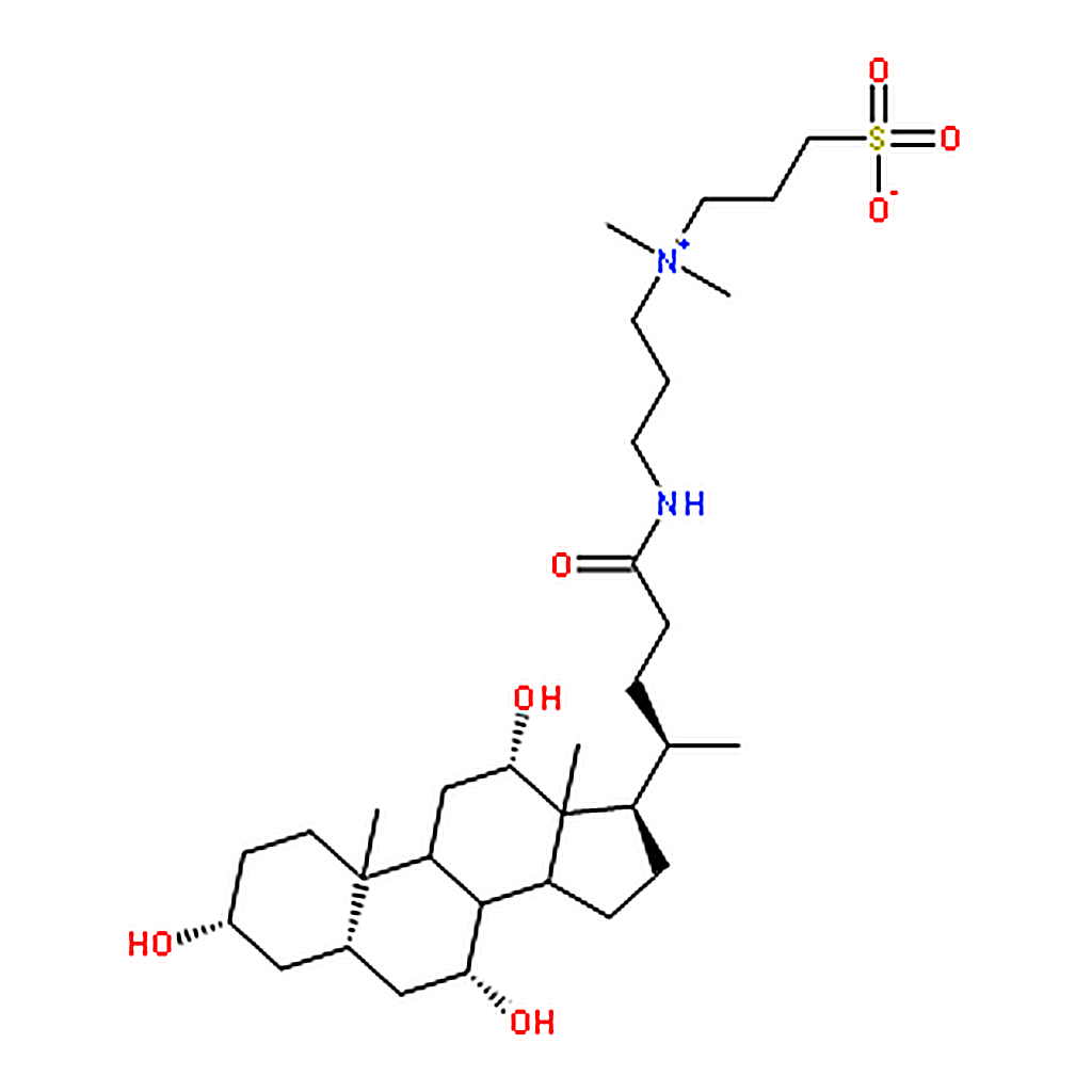 RHAWN 3-((3-Cholamidopropyl)dimethylammonium)-1-propanesulfonate