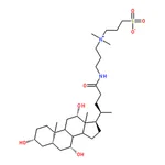 RHAWN 3-((3-Cholamidopropyl)dimethylammonium)-1-propanesulfonate