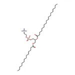RHAWN 1-myristoyl-2-stearoyl-sn-glycero-3-phosphocholine