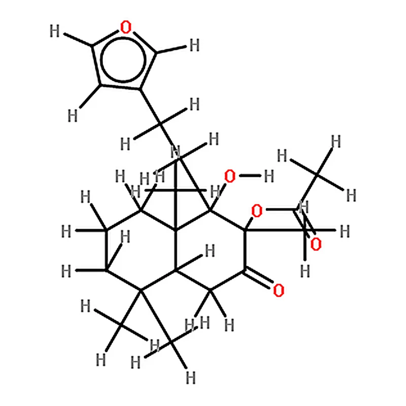 RHAWN Galeopsin