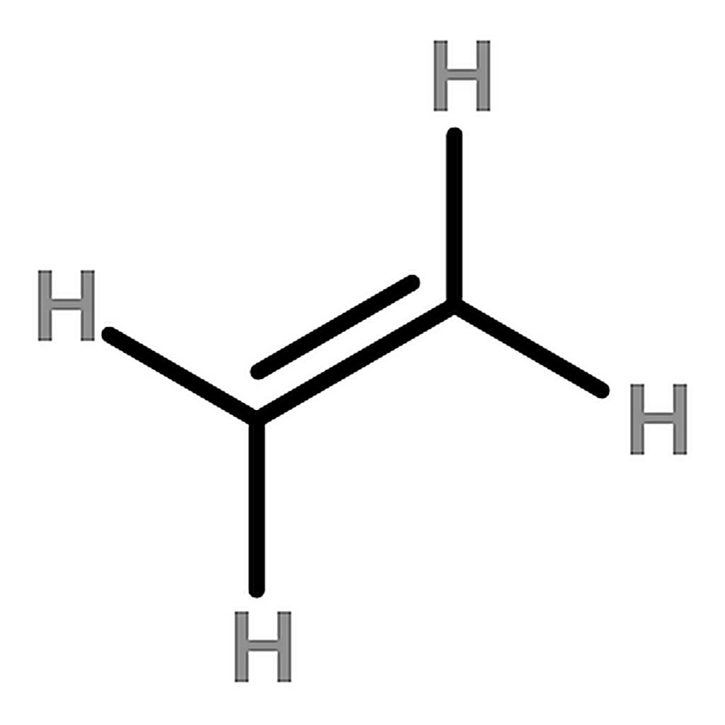 RHAWN Guanosine 3'，5'-cyclic monophosphate
