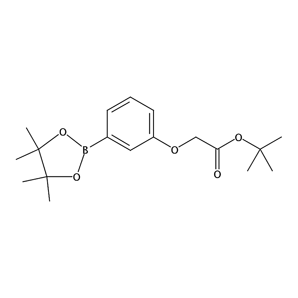 RHAWN [3-(4，4，5，5-Tetramethyl-[1，3，2]dioxaborolan-2-yl)-phenoxy]-acetic acid tert-butyl ester