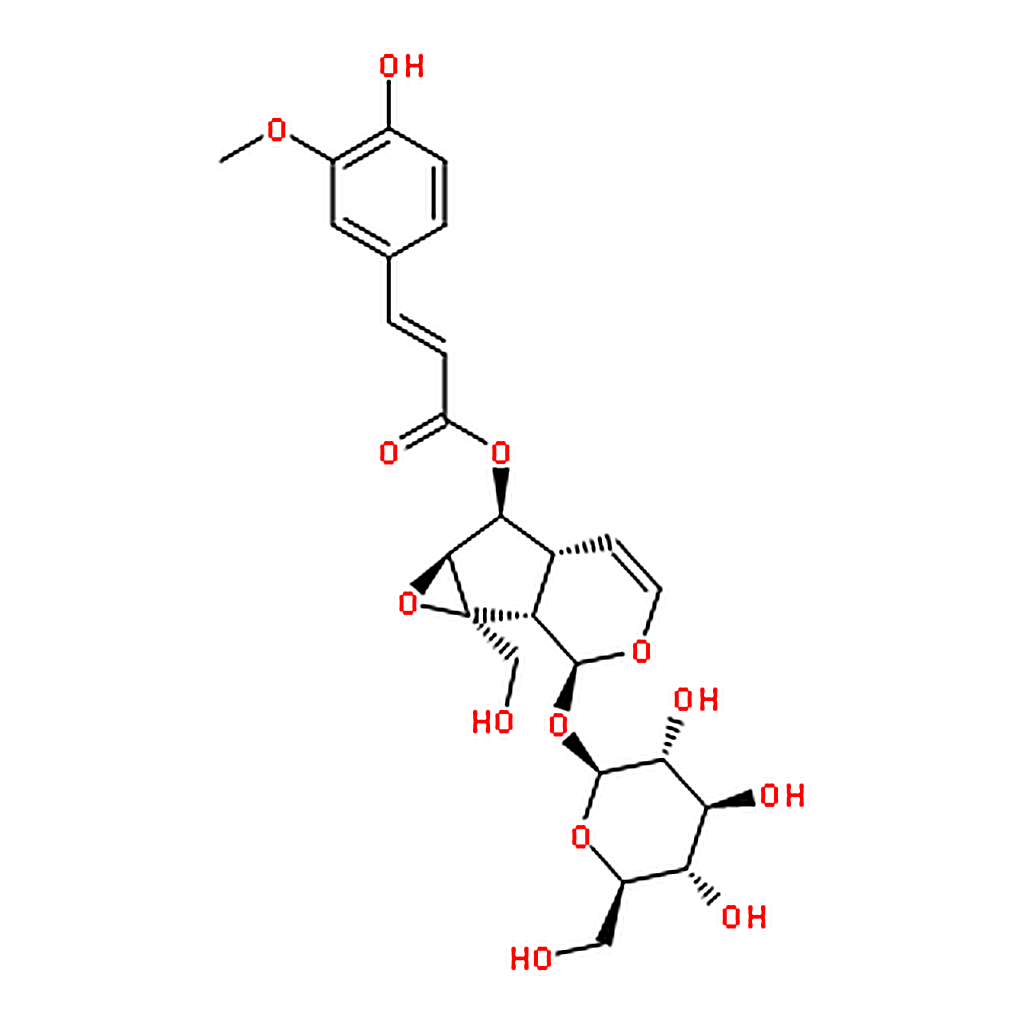 RHAWN 6-Feruloylcatalpol