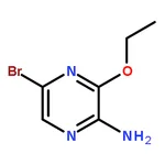 RHAWN 2-Amino-5-bromo-3-ethoxypyrazine