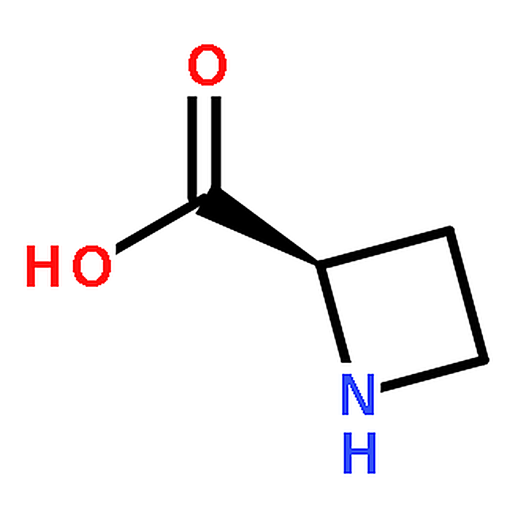 RHAWN (R)-Azetidine-2-carboxylic acid
