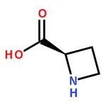 RHAWN (R)-Azetidine-2-carboxylic acid