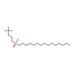 RHAWN n-tetradecylphosphocholine