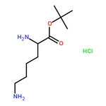 RHAWN Boc-1,5-diaminopentane HCl
