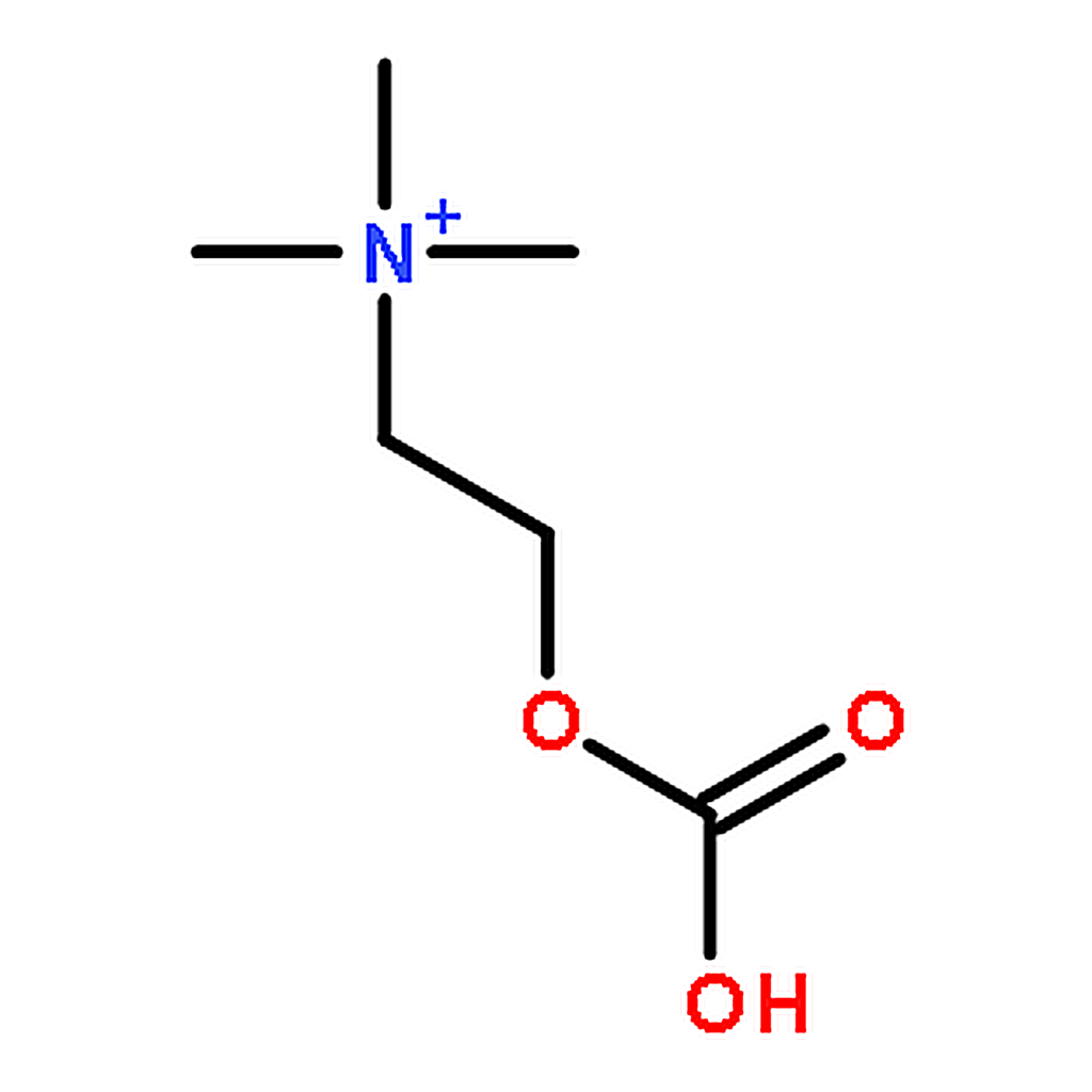 RHAWN Choline bicarbonate-13C solution
