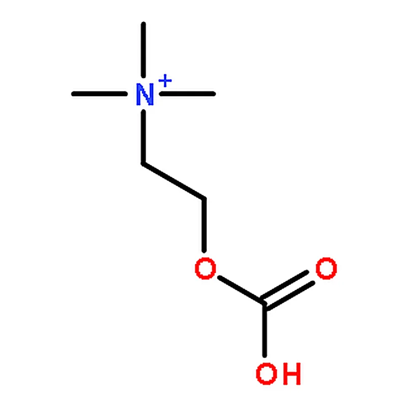 RHAWN Choline bicarbonate-13C solution