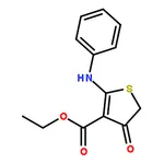 RHAWN Ethyl 4-oxo-2-(phenylamino)-4,5-dihydrothiophene-3-carboxylate