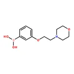 RHAWN (3-(2-Morpholinoethoxy)phenyl)boronic acid