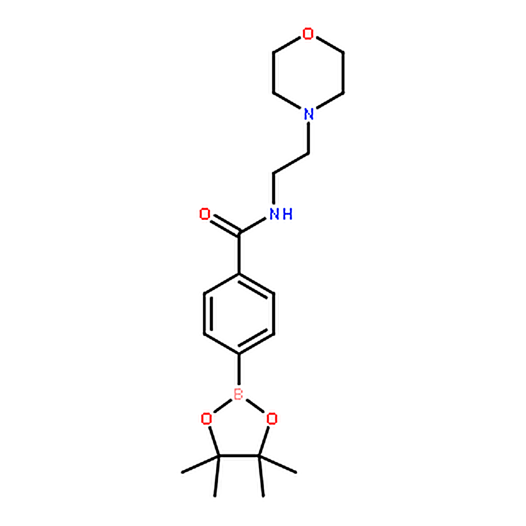RHAWN N-(2-Morpholinoethyl)-4-(4，4，5，5-tetramethyl-1，3，2-dioxaborolan-2-yl)benzamide