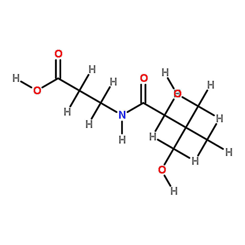 RHAWN D-Pantothenic acid