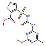 RHAWN Thifensulfuron-methyl solution