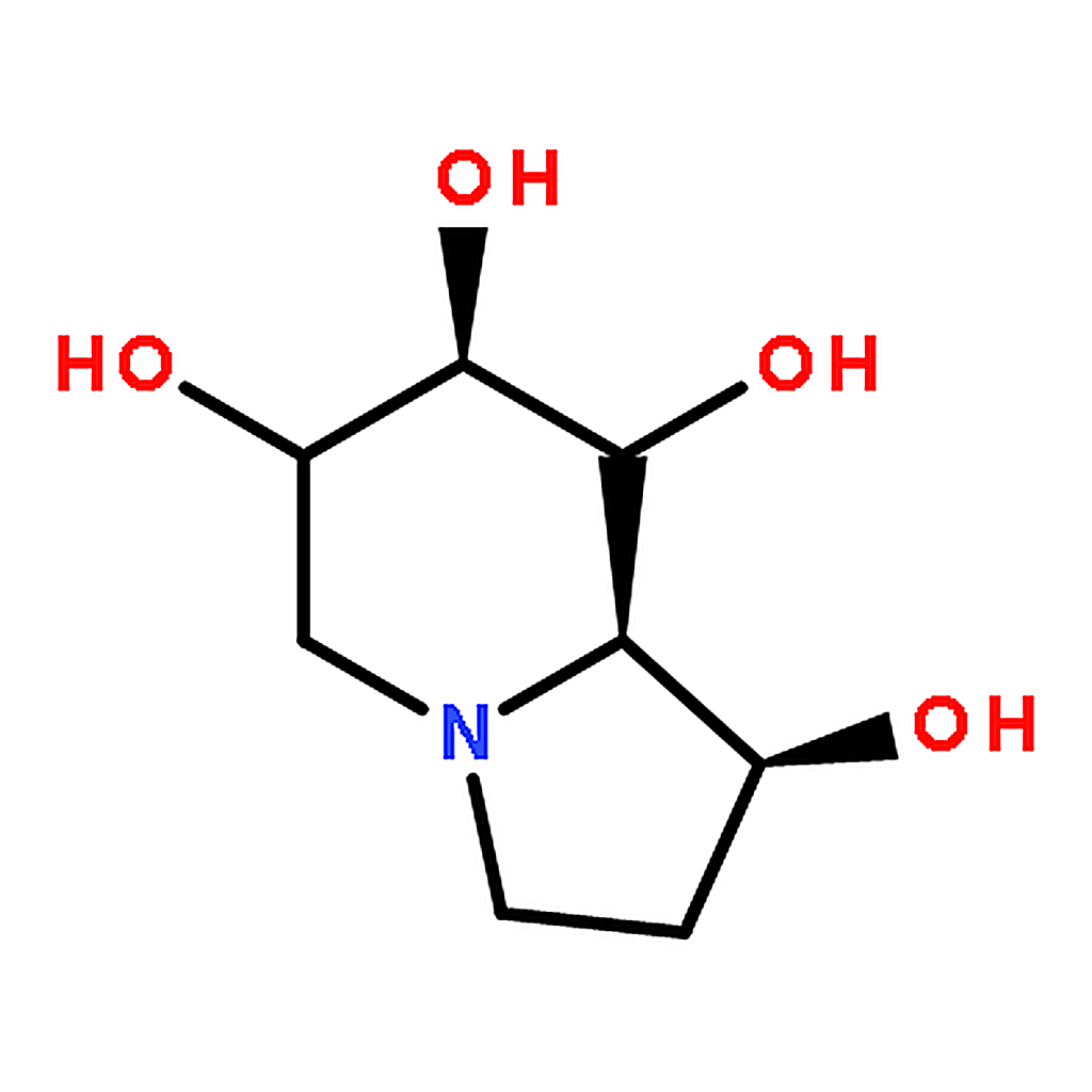 RHAWN Castanospermine