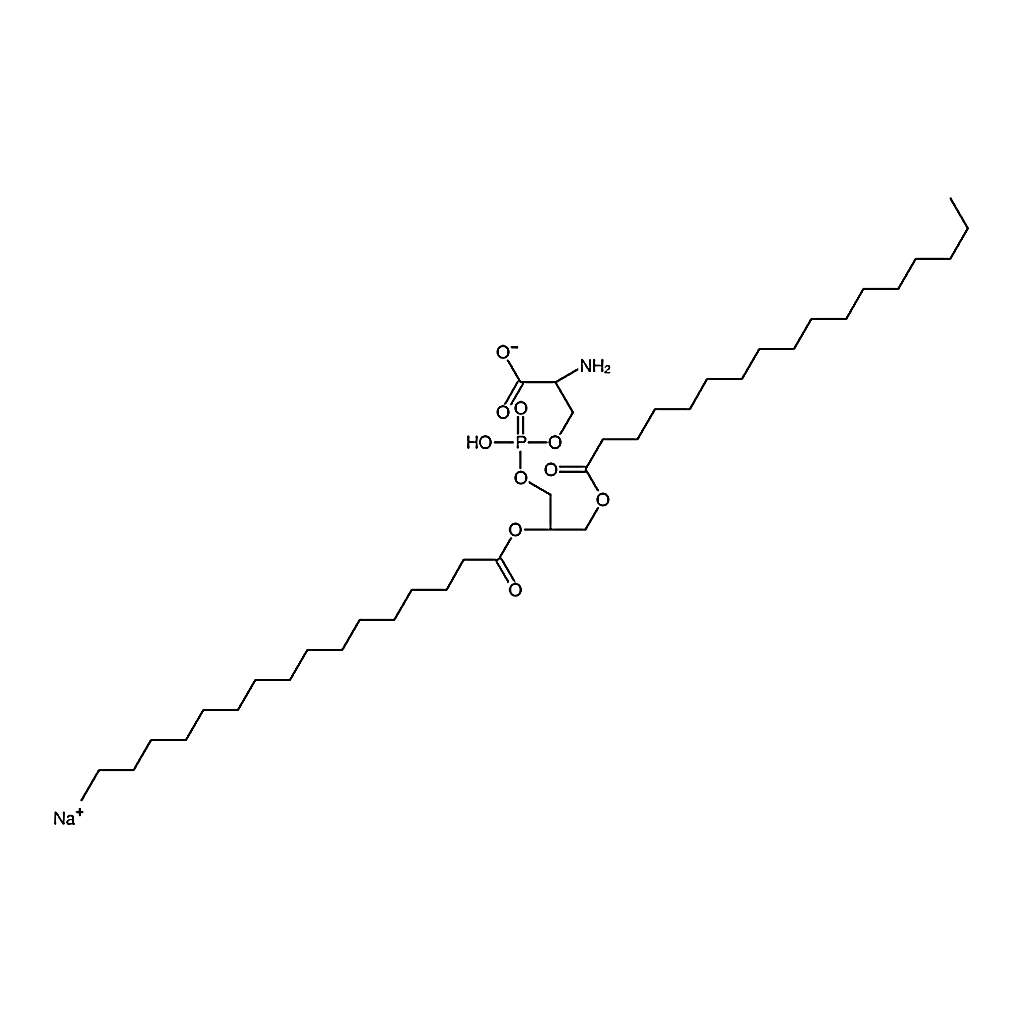 RHAWN 1，2-diheptadecanoyl-sn-glycero-3-phospho-L serine (sodium salt)