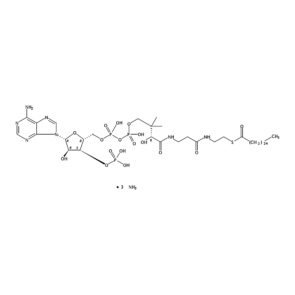 RHAWN hexacosanoyl Coenzyme A (ammonium salt)