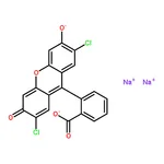 RHAWN 2',7'-Dichlorofluorescein Sodium Salt