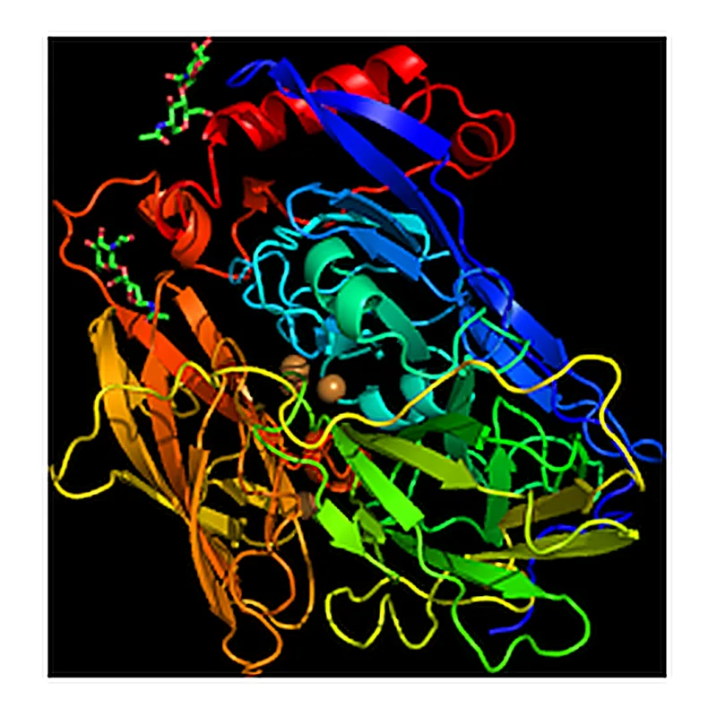 RHAWN Bilirubin Oxidase