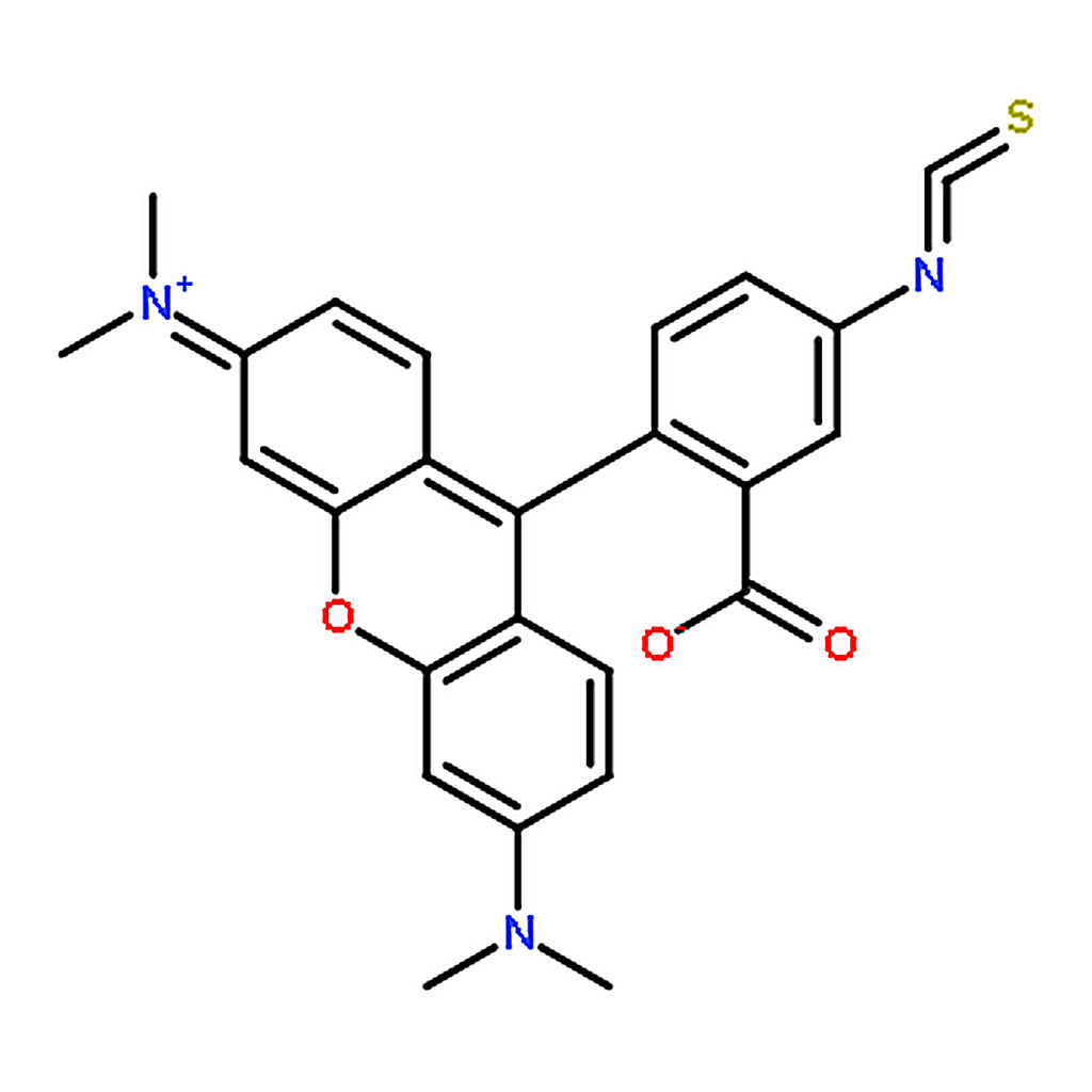 RHAWN Tetramethylrhodamine-5-isothiocyanate
