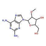 RHAWN 2'-O-METHYL-2,6-DIAMINOPURINE-RIBOSIDE