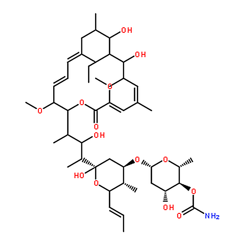 RHAWN Concanamycin A