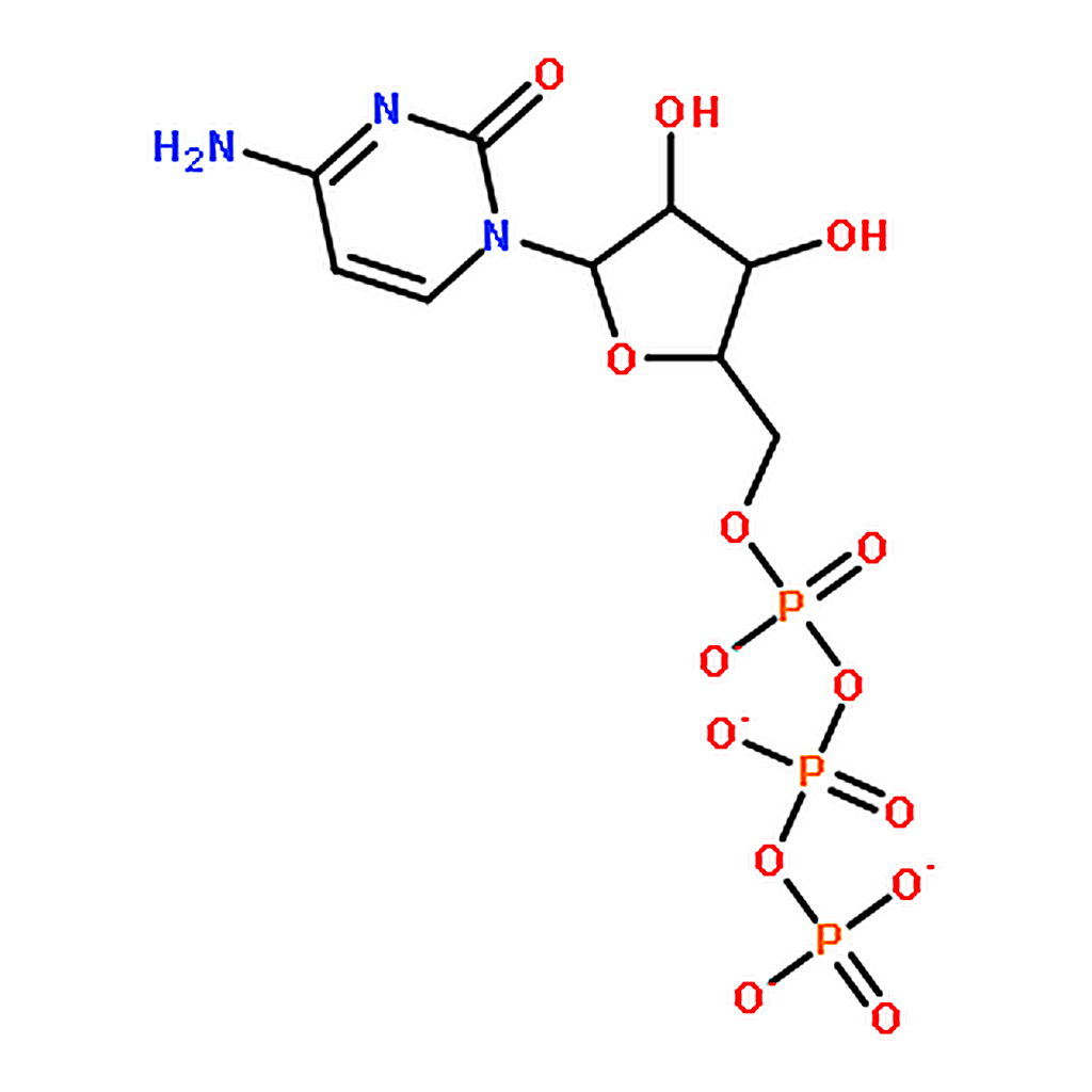 RHAWN Cytidine 5-triphosphate disodium solution