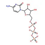 RHAWN Cytidine 5-triphosphate disodium solution