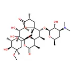 RHAWN Clarithromycin
