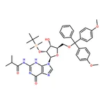 RHAWN 5'-O-DMT-2'-O-iBu-N-Bz-Guanosine