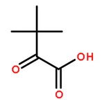 RHAWN 3,3-Dimethyl-2-oxobutyric Acid