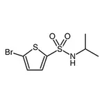 RHAWN 5-Bromo-N-isopropylthiophene-2-sulfonamide
