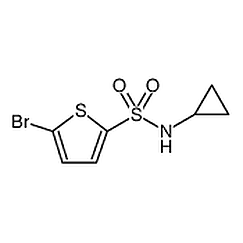 RHAWN 5-Bromo-N-cyclopropylthiophene-2-sulfonamide