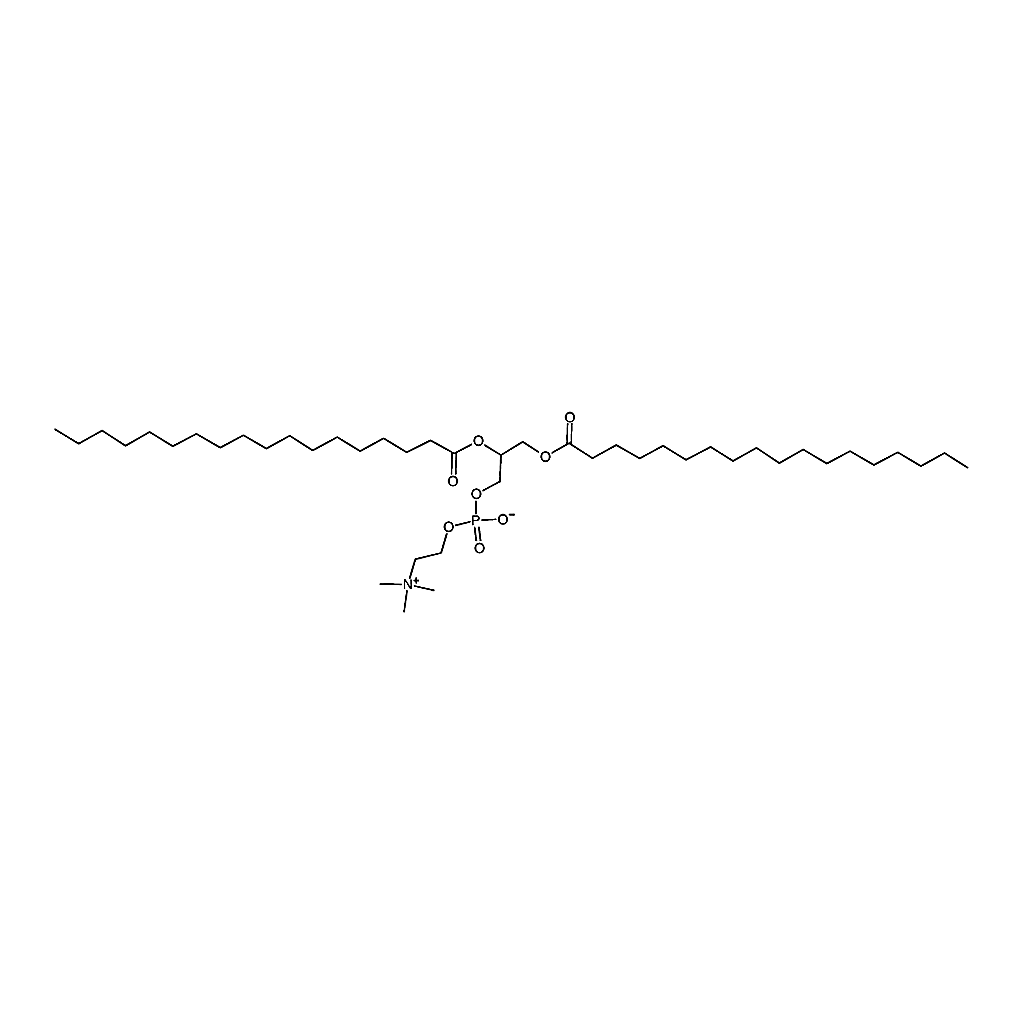 RHAWN 1，2-Distearoyl-rac-glycero-3-phosphocholine